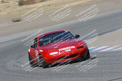 media/Nov-04-2023-CalClub SCCA (Sat) [[cb7353a443]]/Group 1/Cotton Corners (Race)/